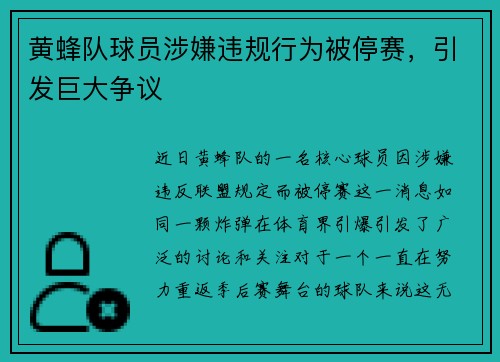 黄蜂队球员涉嫌违规行为被停赛，引发巨大争议