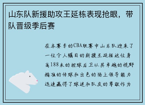 山东队新援助攻王延栋表现抢眼，带队晋级季后赛