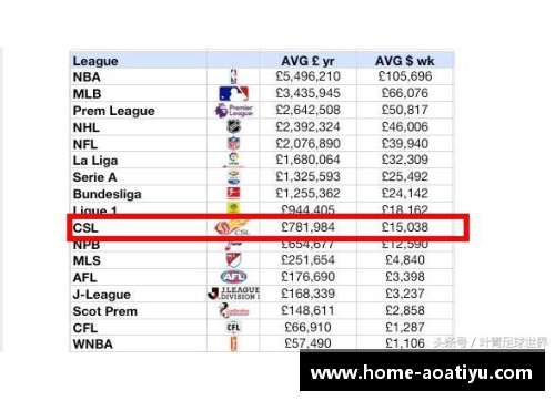aoa体育官网福建球员年薪调查及分析 - 副本